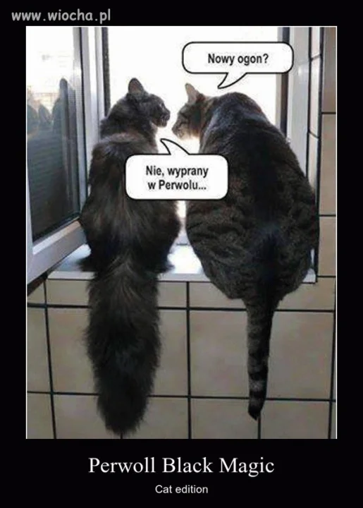 Perwoll