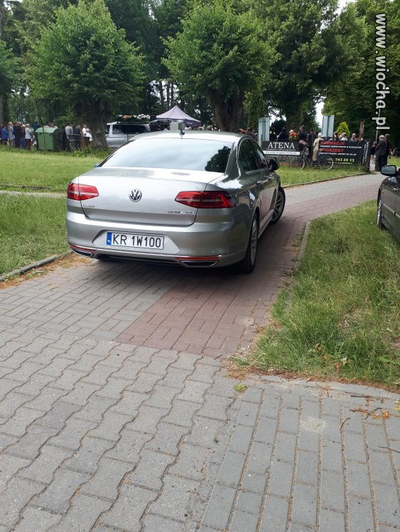 Mistrz parkowania