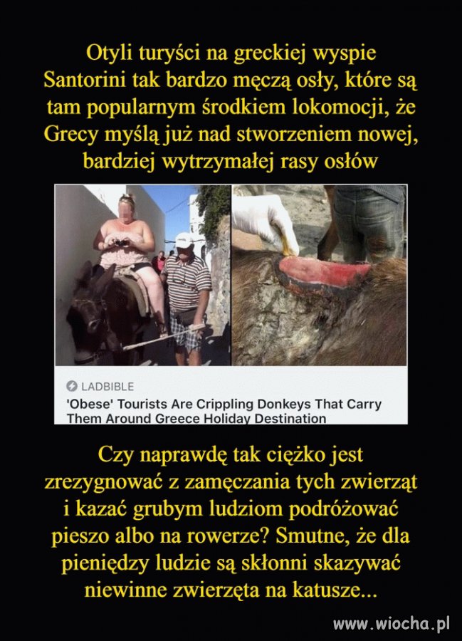 Bez komentarza