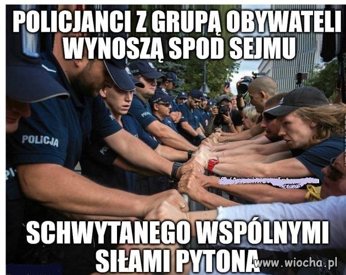 Pyton wreszcie