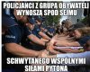 Pyton wreszcie