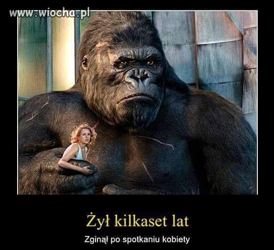 Spotkanie z