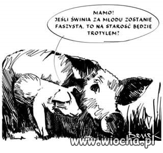 Szlampa