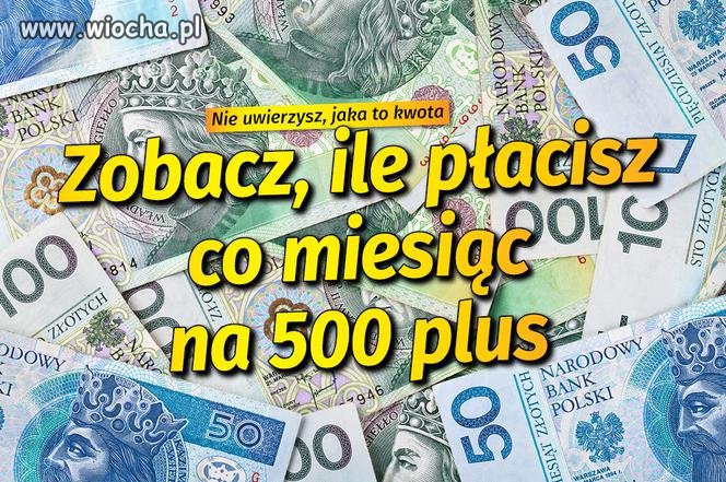 Ludność aktywna zawodowo 