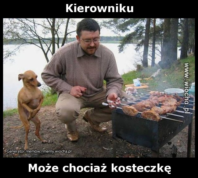 Kierowniku