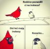 Irokez