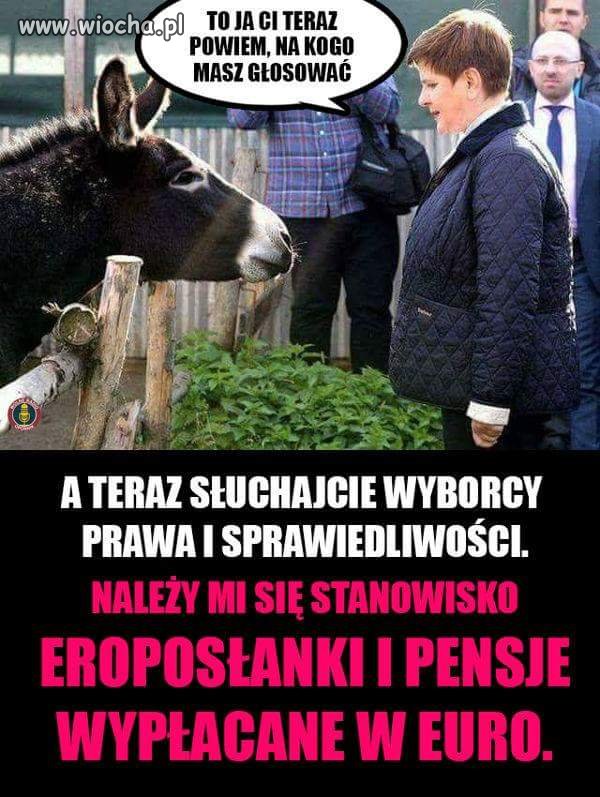 W tej kurtce