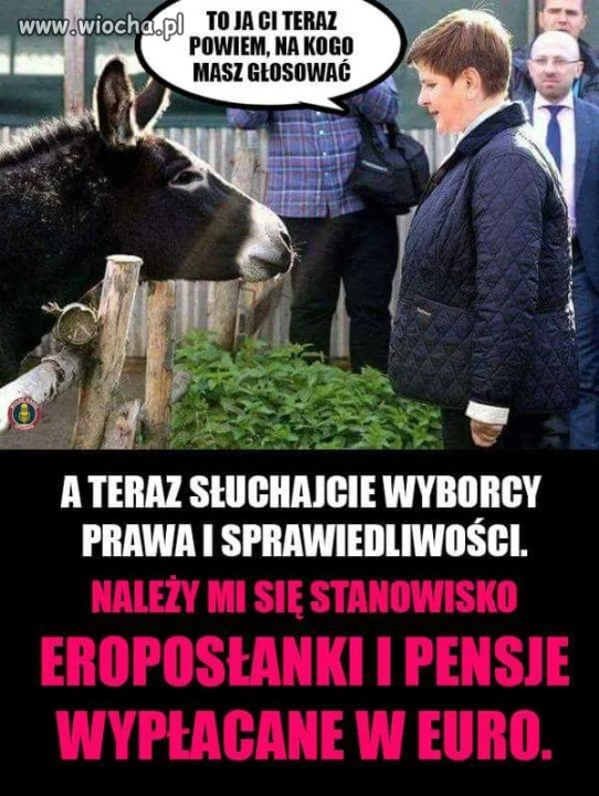 W tej kurtce