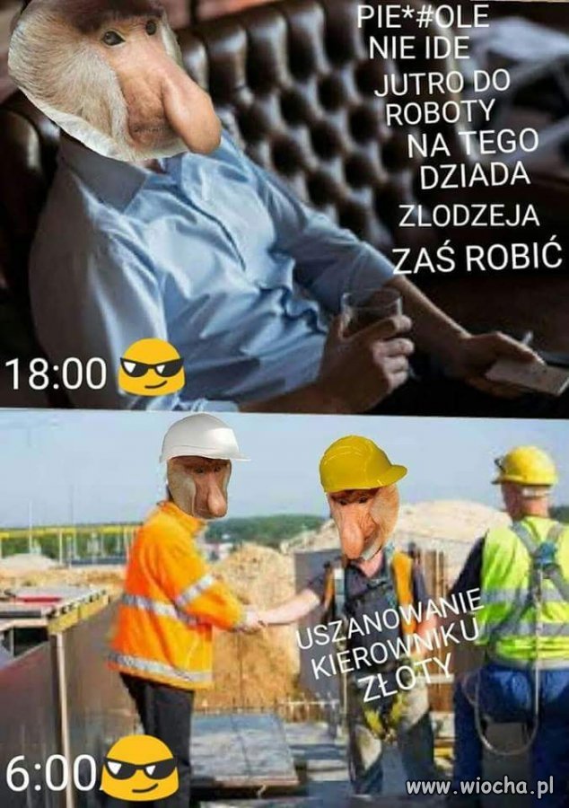 Bez komentarza 