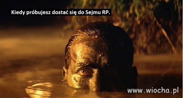 Dziś to wygląda tak