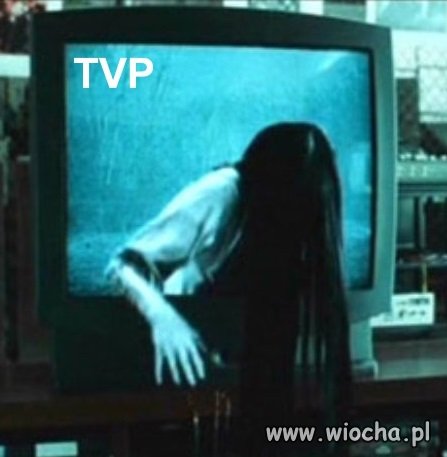 Wiadomości TVP