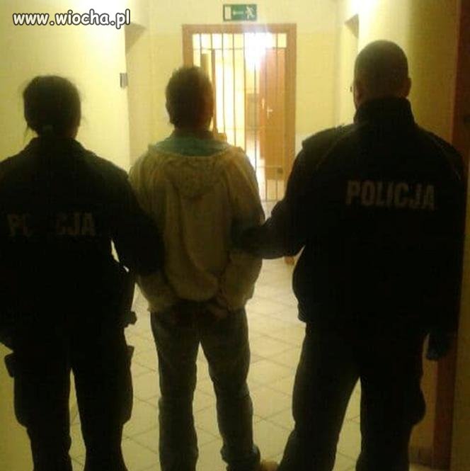 Janusz P.(43l) na Podkarpaciu zgwałcił 10 krów i