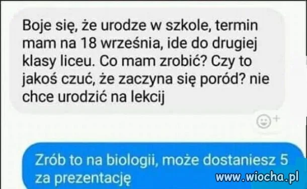 Mistrz