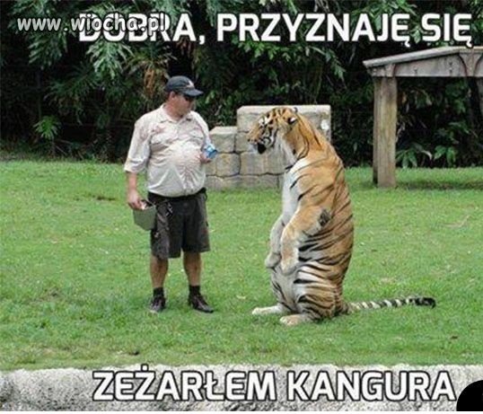 Przesłuchanie