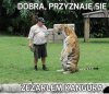 Przesłuchanie