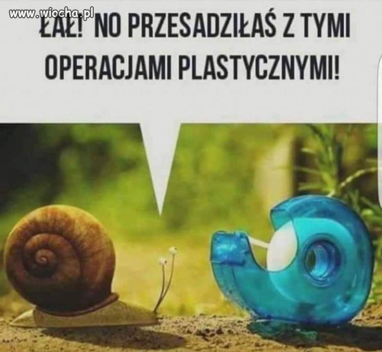Pełna metamorfoza