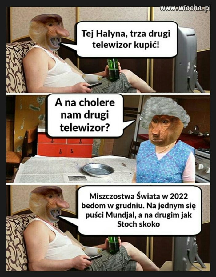 Drugi telewizor 