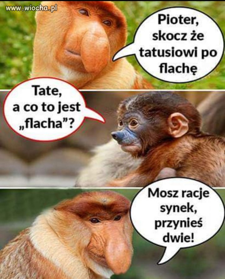 Mądrość życiowa