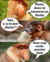 Mądrość życiowa