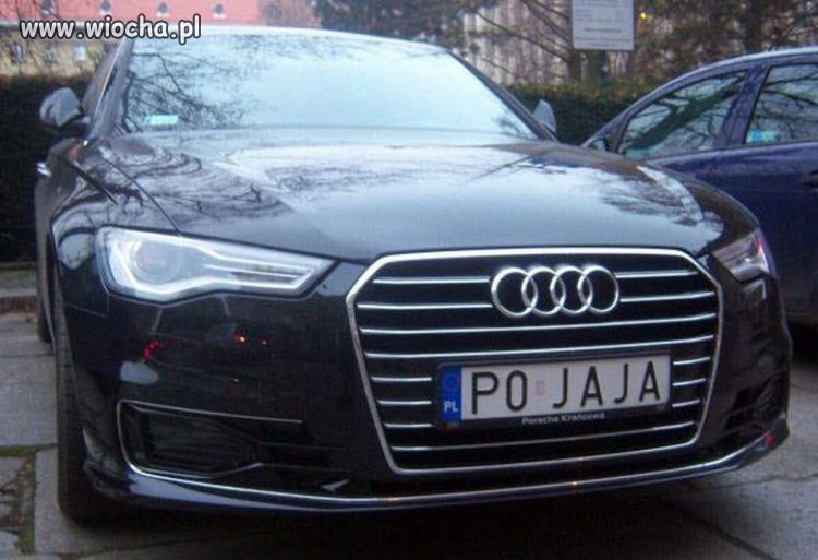 Jak burak dorwie się do kasy przypał murowany