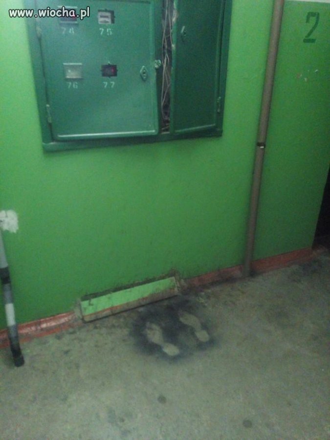 Zaufaj mi. Jestem elektrykiem 