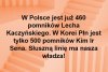 Słuszna linia...
