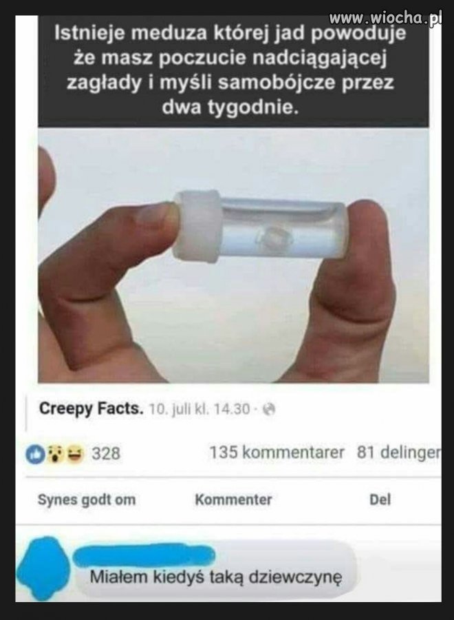 Mistrz riposty