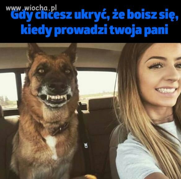 Selfi