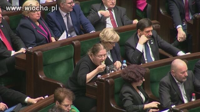 Nie szukajcie już tego pytona