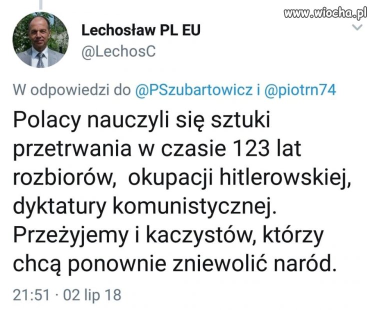 Damy radę