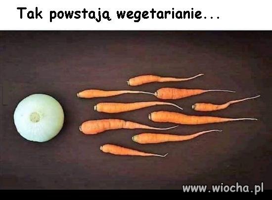 Tak powstają wegetarianie
