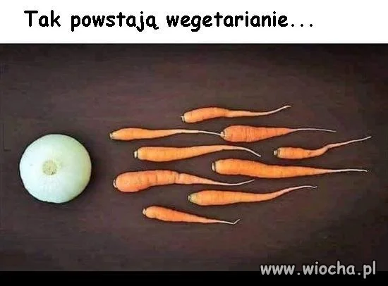 Tak powstają wegetarianie
