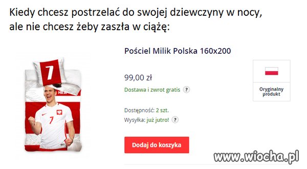 Komentarz i opis