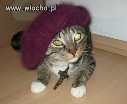 Babciny koteł 