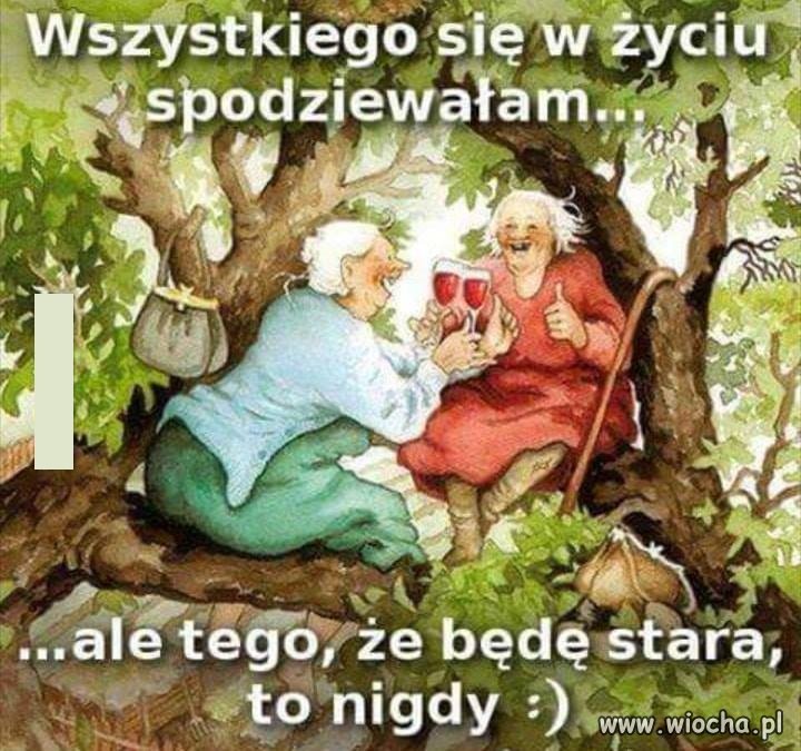 Co za prawdziwe przesłanie ze zlotu czarownic
