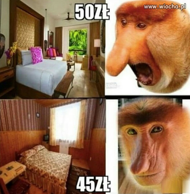 Od razu lepiej 