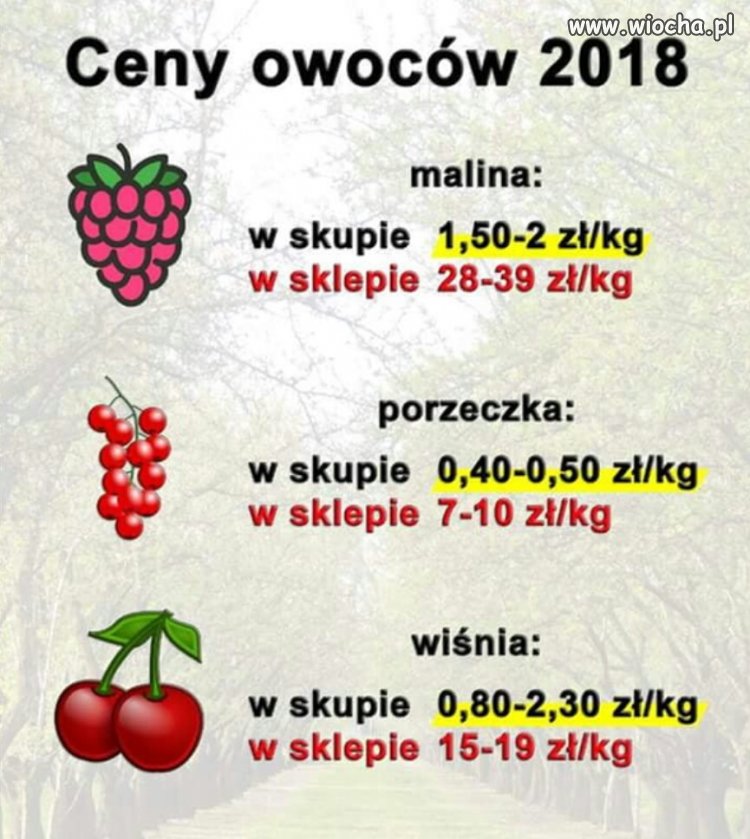 To jest dopiero wiocha 