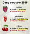 To jest dopiero wiocha 