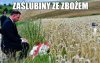 Borowiki wkurzone bo jadąc z Wawy
