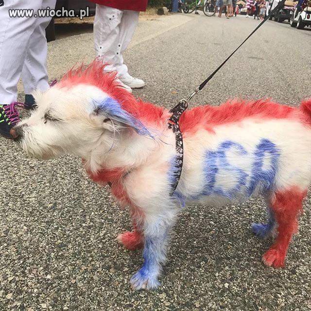 USA wszystko jasne
