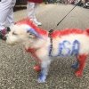 USA wszystko jasne