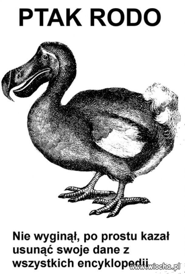 RODO