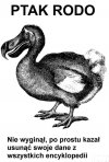 RODO