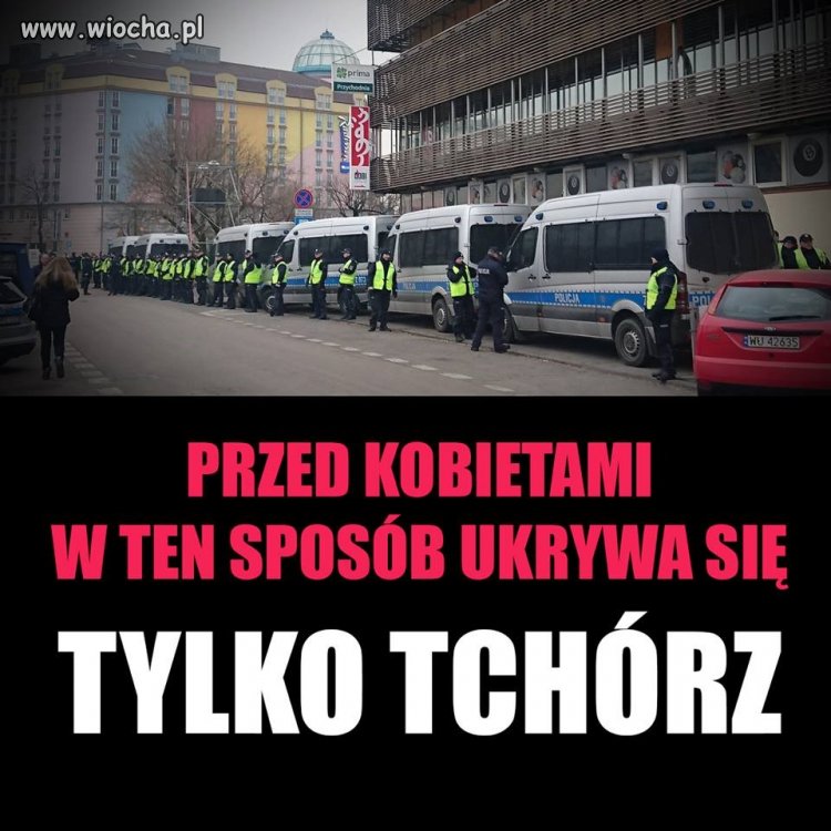 Tak prezes