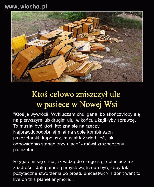 Brak słów