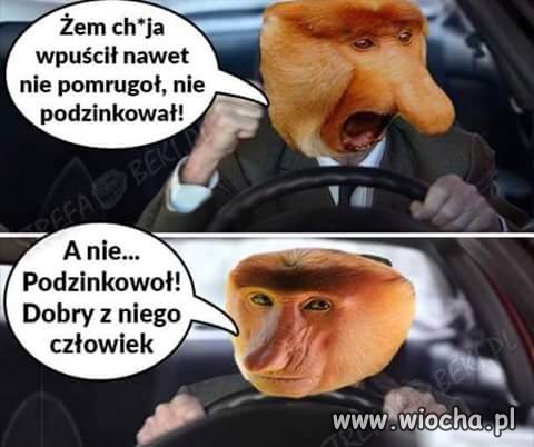 Takie prawdziwe 