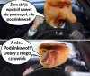 Takie prawdziwe 