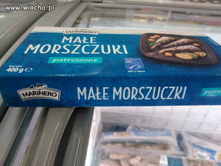 Rybka z błędem