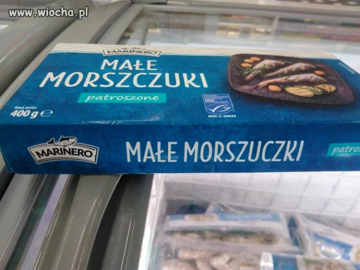 Rybka z błędem