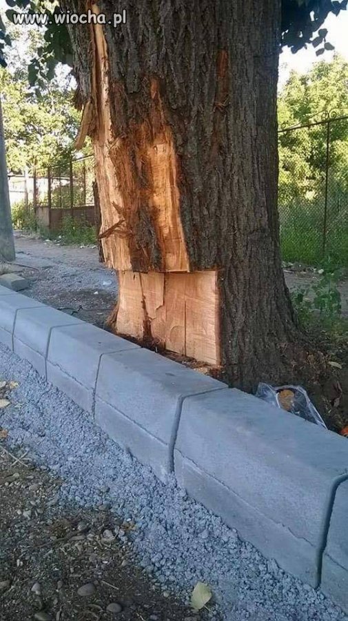 I weź tu nie oceniaj ludzi po zawodzie...